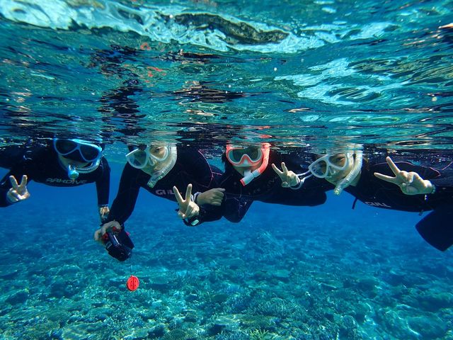 �t�@�~���[�݂�ȂŃX�m�[�P����_�X�J�C�E�H�[�J�[