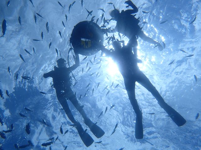 �������琅�ʂ��݂�ƋP�������V���G�b�g�I_�X�J�C�E�H�[�J�[