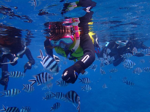 ���q�l���a�t���̌��I_�X�J�C�E�H�[�J�[