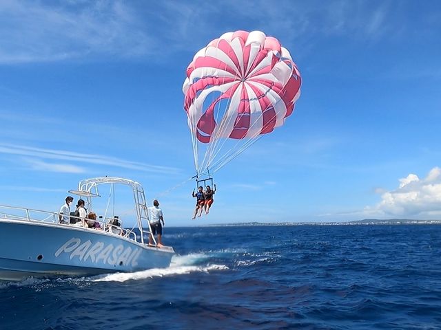 OCEAN  PRO/�g�ɋ����J��UP_�X�J�C�E�H�[�J�[