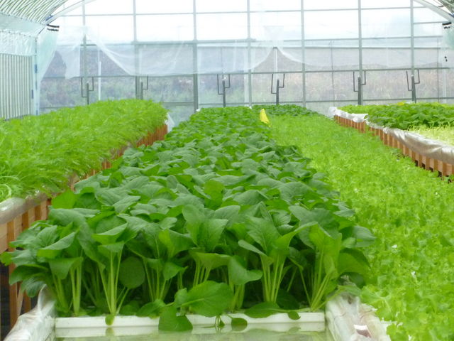 �Ă������ӂ��[�ށ@�K���ؑ]���_��