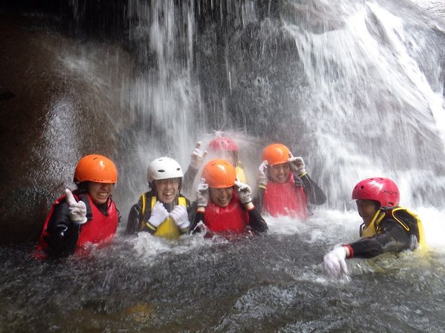 �y�Ȃ߂Ƃ��z��ɑł���Đg�������߁�_�O�b�h���o�[