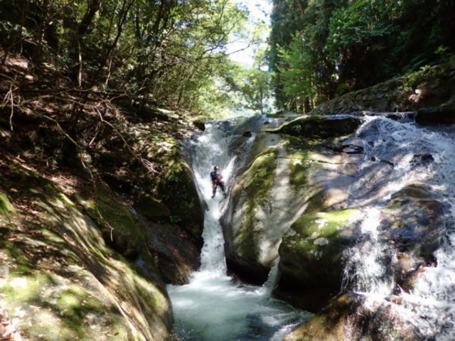 �y�₭�����Ɂz�V�R�E�H�[�^�[�X���C�_�[�փ`�������W�I_�O�b�h���o�[