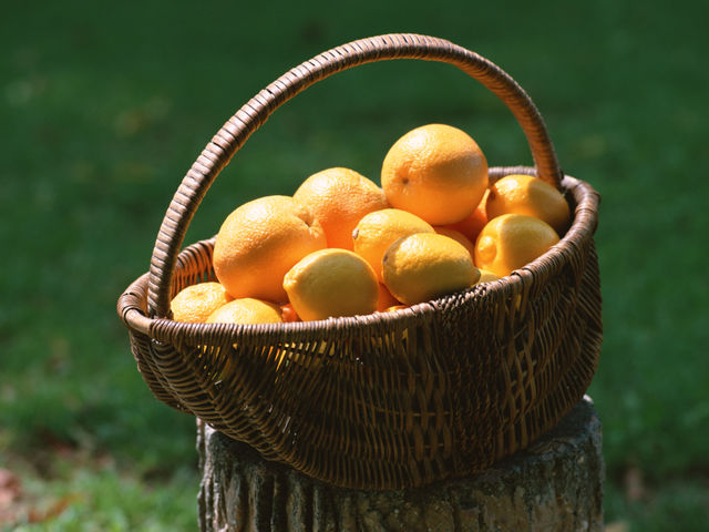 FARMaSEA GARDEN URAGA