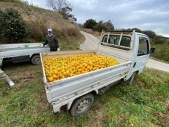 FARMaSEA GARDEN URAGA