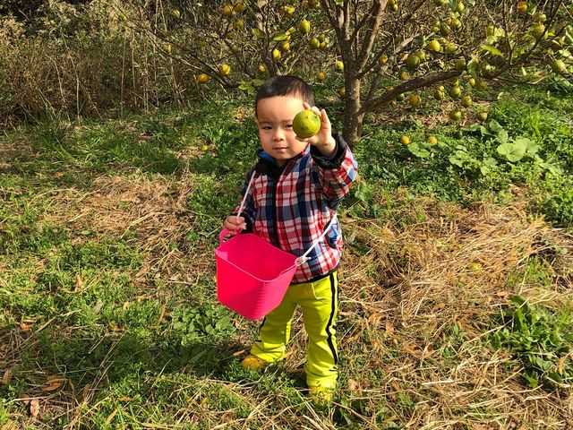 FARMaSEA GARDEN URAGA