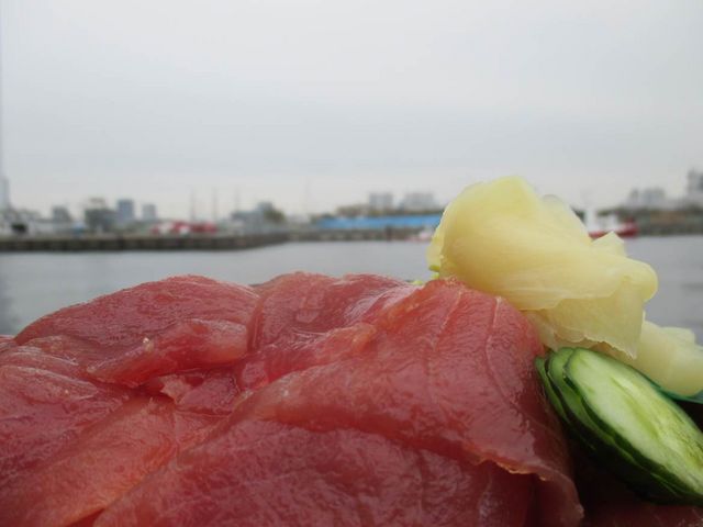 �}�O�����̃}�O�����̓X�i�g���~�t�B�b�V���[�Y�e���X- �Ƃ�Ă�j