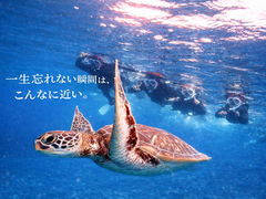 �T�}�[�h���[���Ί_���̎ʐ^1