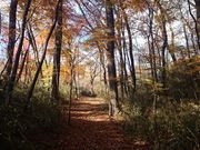 ASOVOiAso Sports and Outdoor Visit Offsiderj̎ʐ^4