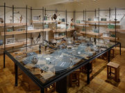 ӂ̂ɒnj~[WA̎ʐ^2