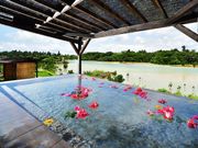 �{�Ó��G�X�e���X�p�@�����������̎ʐ^3