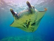 TAKUDIVE�Ί_���̎ʐ^4