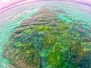 TAKUDIVE�Ί_���̎ʐ^2