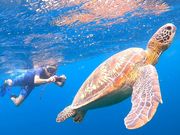 SeaChan�Ί_���̎ʐ^2