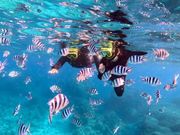 SeaChan�Ί_���̎ʐ^4