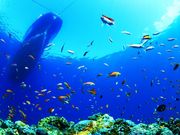 JrX^ -Vm[PX Kabira Studio-̎ʐ^4