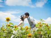 �T���V���O�u���[�t�H�g�O���t�B�[�̎ʐ^3