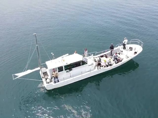 �h���[������݂��V���D�Bo��_�܂��ƗV��