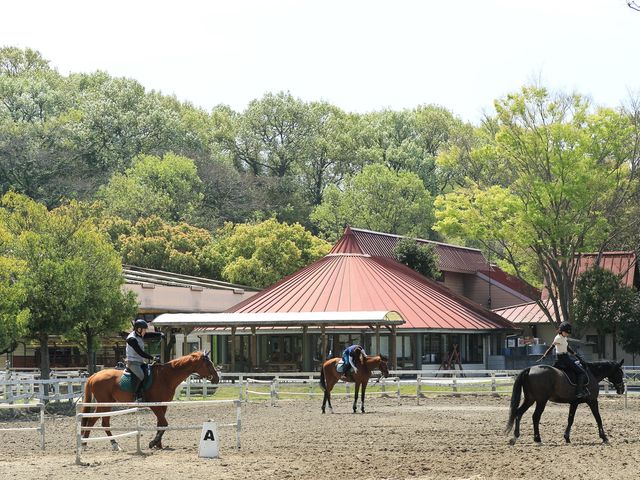 両備乗馬クラブ・クレイン岡山】予約・アクセス・割引クーポン - じゃらんnet