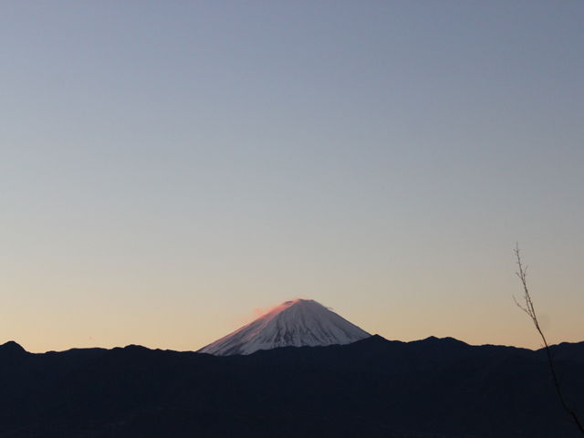 ���M�������[Roppo�@�Z�Q�q