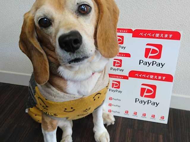 �K���X�H�[Minerva