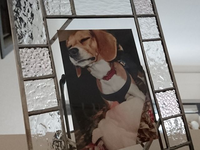 �K���X�H�[Minerva