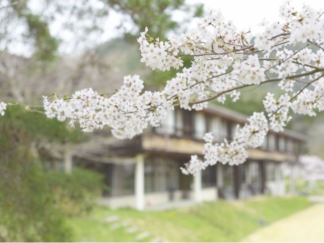 �_�ˎO�c�A�E�g�h�A�r���b�WTEMIL