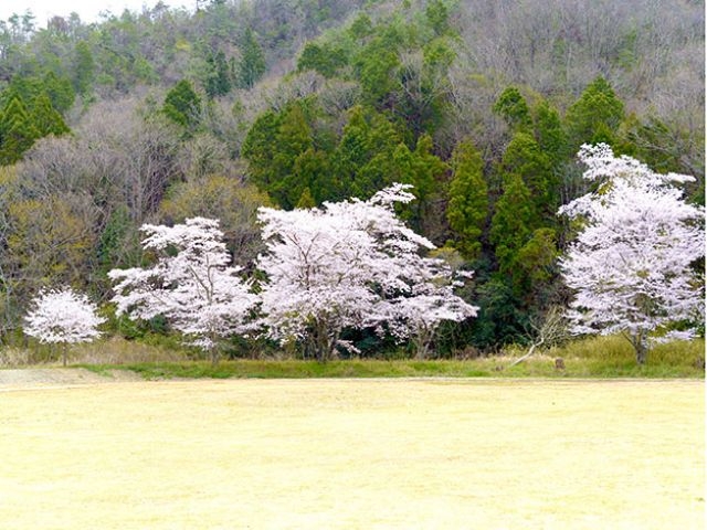 �_�ˎO�c�A�E�g�h�A�r���b�WTEMIL