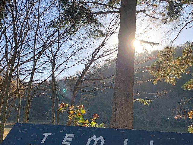 �_�ˎO�c�A�E�g�h�A�r���b�WTEMIL