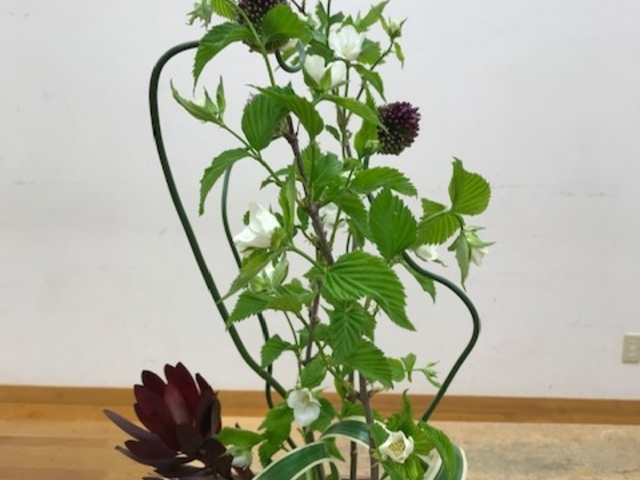 �����ԍ�i_�t���[�i������