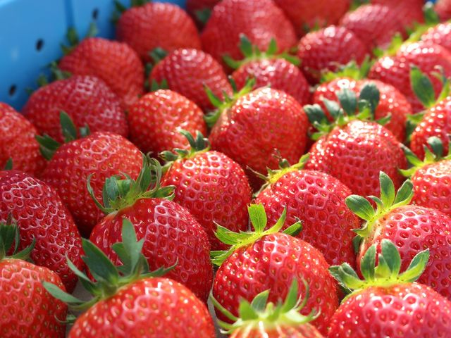 ���������@�W�W��