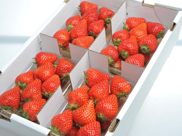 ���������@�W�W��