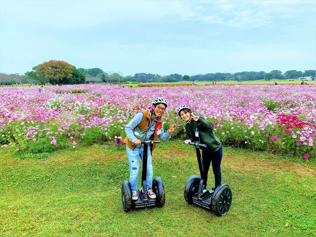 �C�̒����Z�O�E�F�C�c�A�[