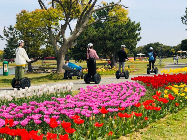 �G�߂��Ƃɕς�邨�Ԕ�_�C�̒����Z�O�E�F�C�c�A�[