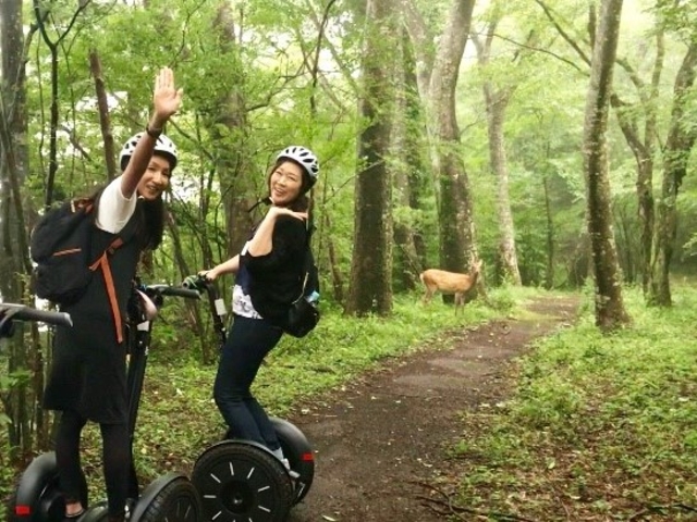 �������m�΃Z�O�E�F�C�c�A�[