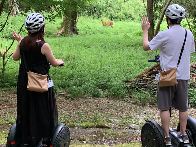 ���ɉ�邩���I�H_�������m�΃Z�O�E�F�C�c�A�[