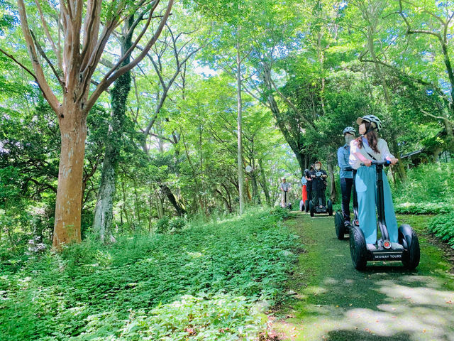 �X�ї����y���߂܂�_�������m�΃Z�O�E�F�C�c�A�[