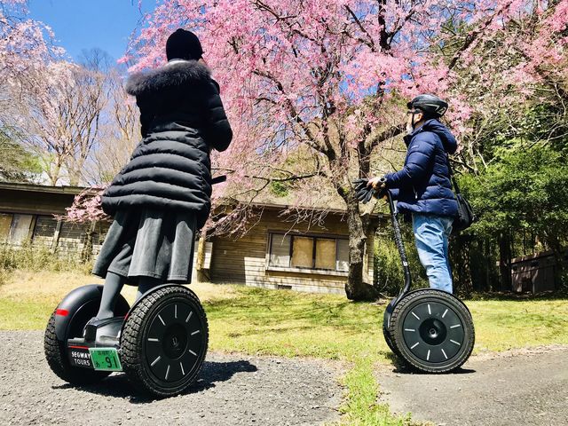 �������m�΃Z�O�E�F�C�c�A�[