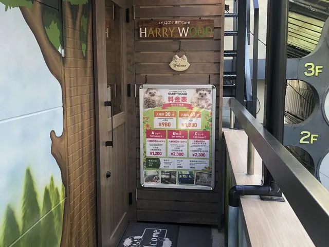 ハリネズミ専門cafe HARRY WOOD なんば店