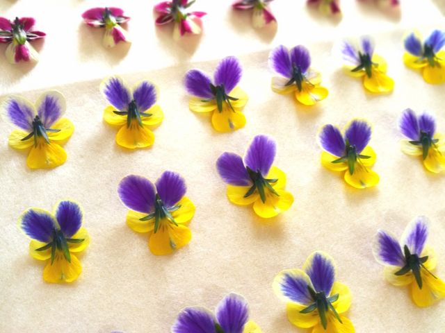 �����}�b�g�ɂ��Ԃ���ׂĉ����Ԃ����܂���_�����ԋ����@roseblanche ���[�u�����V��