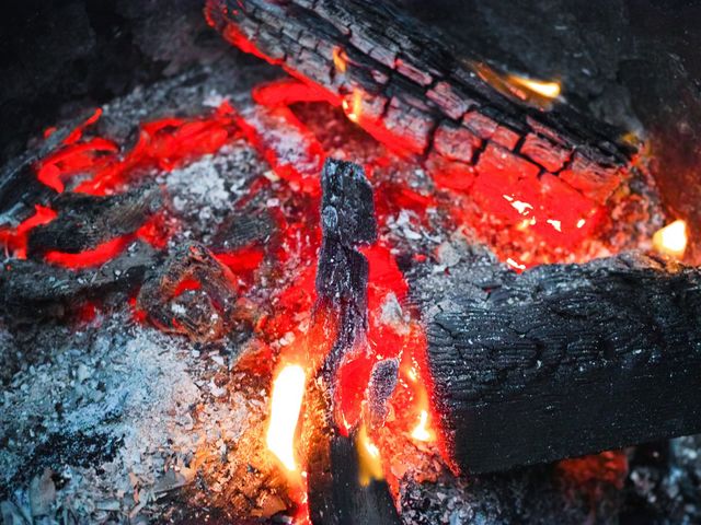 �V�R��BBQ_�o�[�x�L���[�K�[�f�����s�i�X�͌���