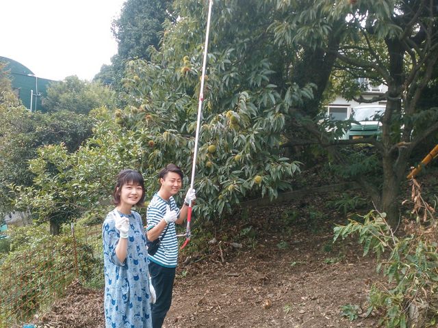 �\�t�B�b�R�����h