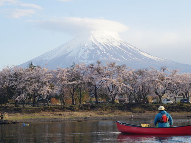 �͌��΃J�k�[�̌��i�t�j_�x�m���V��