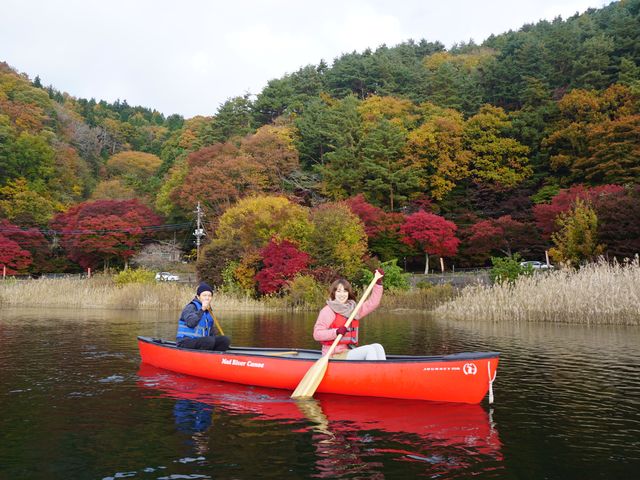 �͌��΃J�k�[�̌��i�H�j_�x�m���V��