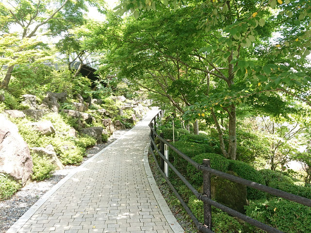 �n�[�u�뉀�����L �x�m�͌��Β뉀
