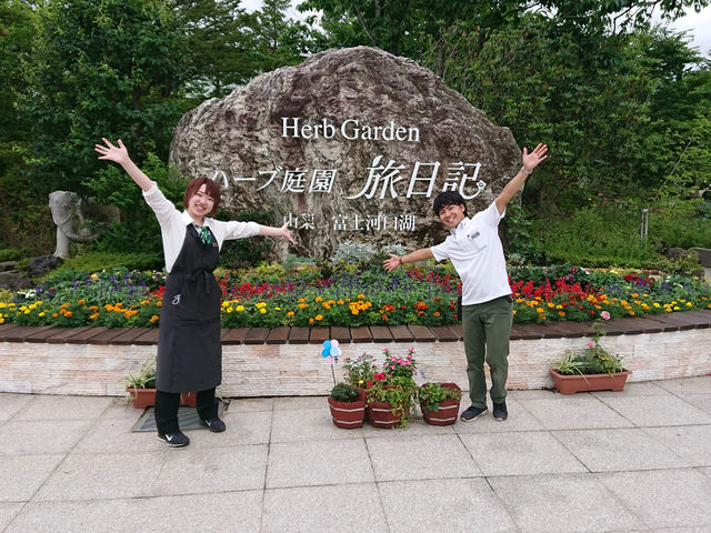 �n�[�u�뉀�����L �x�m�͌��Β뉀