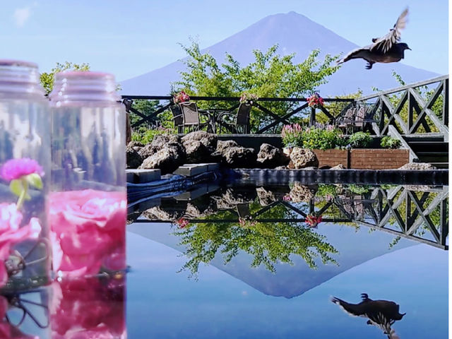 ��i�̒뉀�Ł@����Y��Ă�������_�n�[�u�뉀�����L �x�m�͌��Β뉀