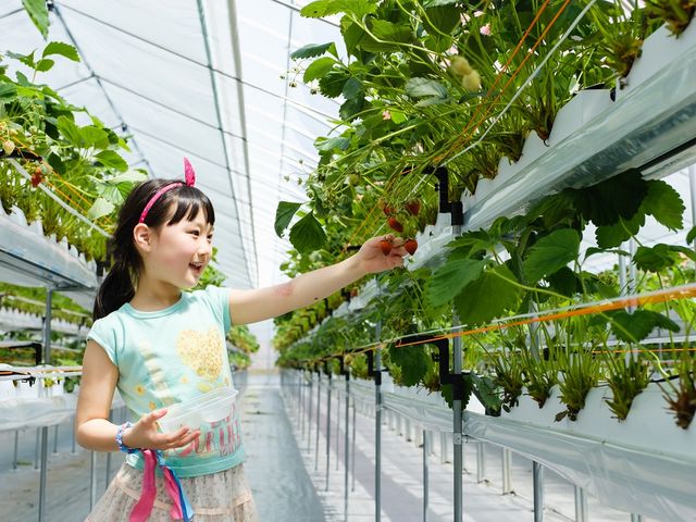 �݂܂���������