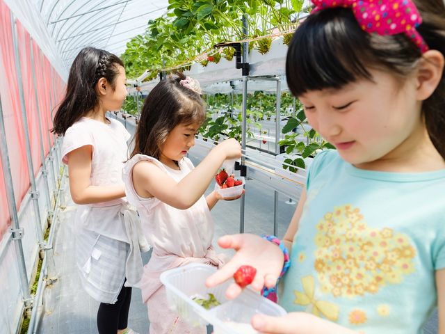 �݂܂���������