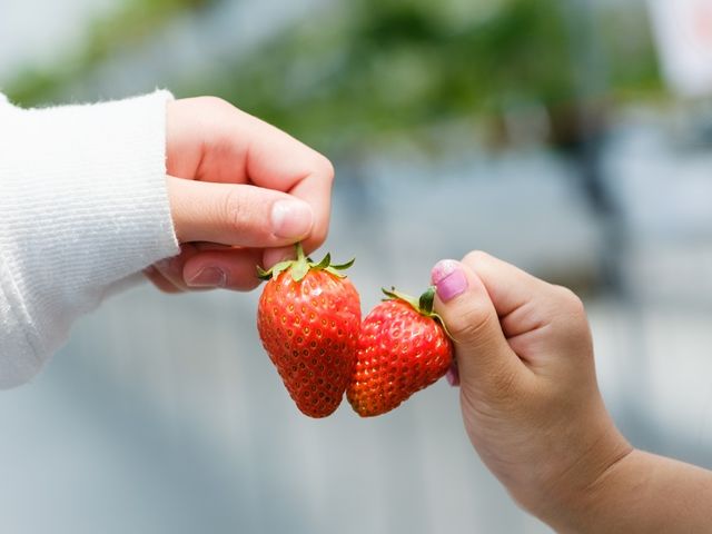 �݂܂���������